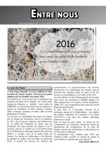 thumbnail of entrenous 2015 v3Tlight